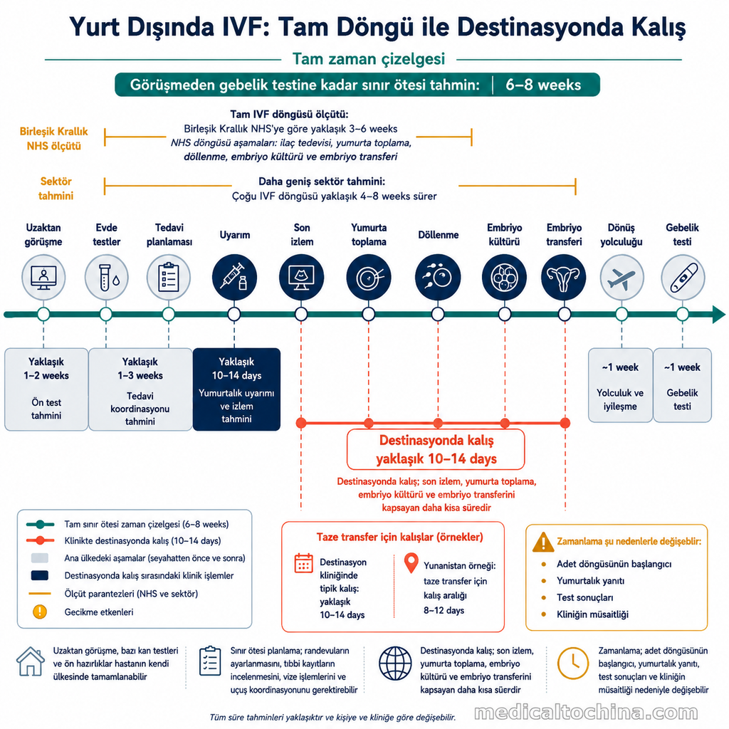 Eksiksiz IVF süreci ile yurt dışında kalış aralığını gösteren çift katmanlı zaman çizelgesi